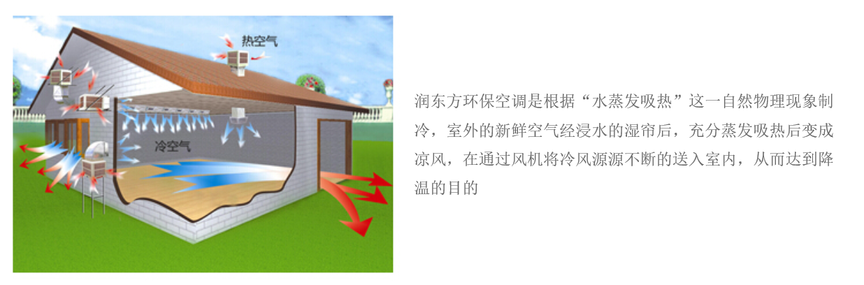 J9集团官网-FIBA签约合作商j9.comRDF-18C-11/S(图2)
