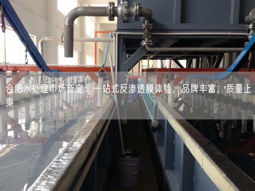 合肥水处理市场新宠：一站式反渗透膜体验，品牌丰富，质量上乘(图1)