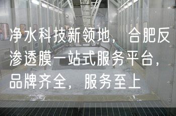 净水科技新领地，合肥反渗透膜一站式服务平台，品牌齐全，服务至上(图1)